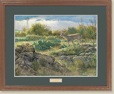 Texas Gold-Whitetail Deer by Ron Van Gilder (image for) Texas Gold-Whitetail Deer by Ron Van Gilder